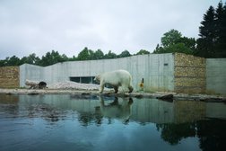 Polar bears new exhibition